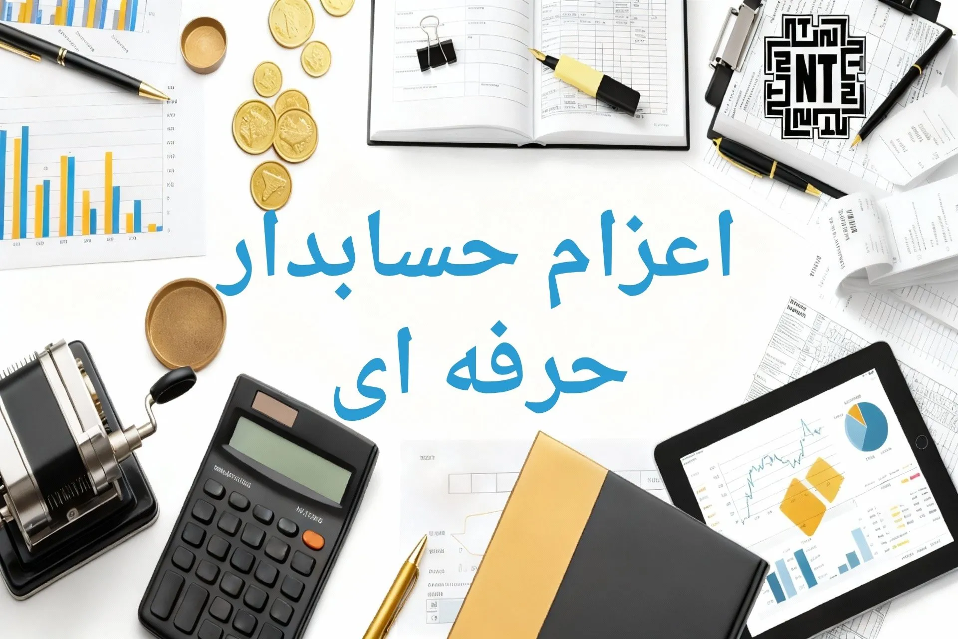 حسابدار حرفه ای